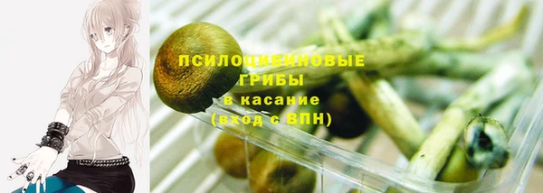 спиды Алексеевка