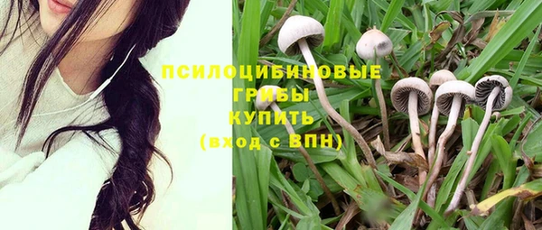 спиды Алексеевка