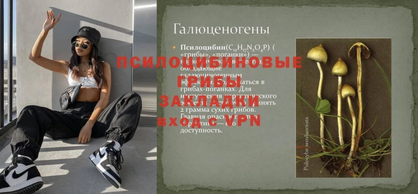 ПСИЛОЦИБИНОВЫЕ ГРИБЫ Алексин