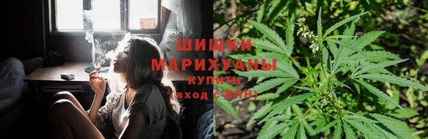 ПСИЛОЦИБИНОВЫЕ ГРИБЫ Алексин