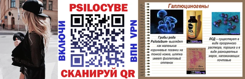 blacksprut вход  закладка  Камышин  Галлюциногенные грибы ЛСД 